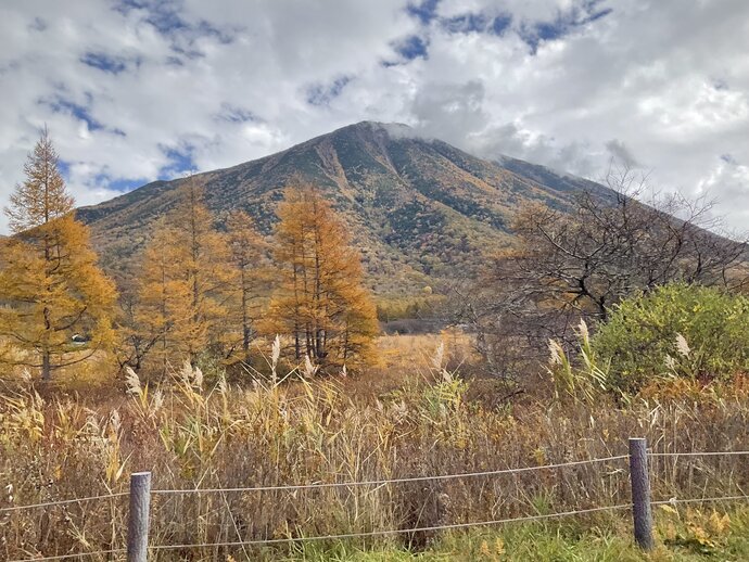 【自然情報】湯の湖湖畔周辺の紅葉状況