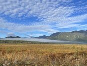 【自然☃️情報】戦場ヶ原の風景