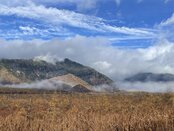 【自然☃️情報】戦場ヶ原の風景