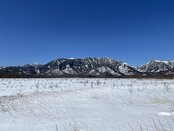 【自然☃️情報】戦場ヶ原の風景