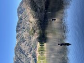 TROUT FISHING 2025　湯ノ湖・湯川 解禁