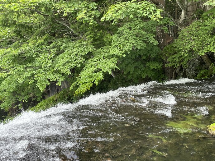 【見どころ情報】湯滝上部観瀑台からの眺め