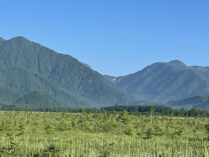 【自然情報】戦場ヶ原の風景