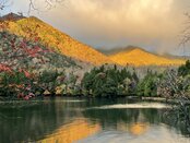 🍁 紅葉の季節が到来! 🍁