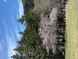 今日の奥日光