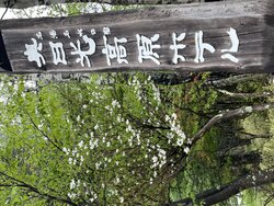 今日の奥日光