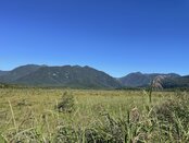 【自然情報】戦場ヶ原の風景