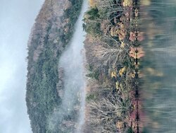 今日の奥日光